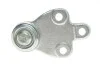 Опора шаровая (передняя/снизу) Ford Focus 18- ASMETAL 10FR1720 (фото 2)