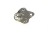 Опора кульова (передня/знизу) Toyota Corolla/Rav 4/Prius 92-06 ASMETAL 10TY0206 (фото 3)