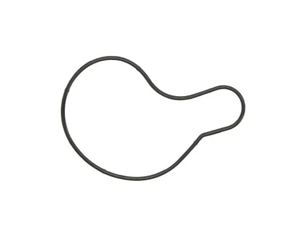Прокладка помпы ATHENA S410485024016
