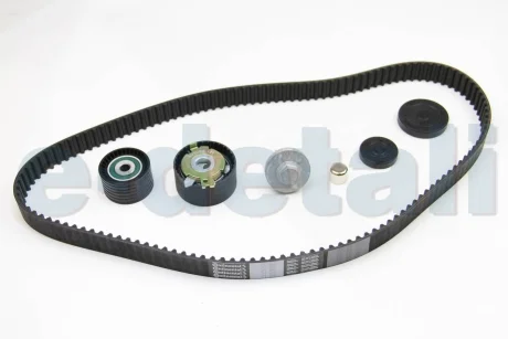 Комплект ГРМ 1.4/1.6 Kangoo 01-/Logan 06-/Megane 99-/Duster 10- (рем. Conti CT1179) AUTLOG ZK1032