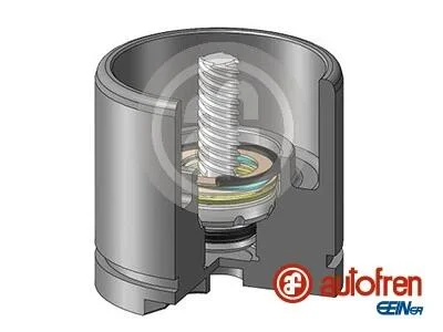 Елементи гальмівного супорта AUTOFREN D025256LK