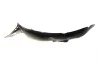 Подкрыльник (передний) VW Caddy IV 16-20 (R) AUTOTECHTEILE 380 5019 (фото 4)