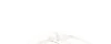 Стекло фары Citroen Jumper/Fiat Ducato/Peugeot Boxer 02-06 (R) AUTOTECHTEILE 503 0393 (фото 3)