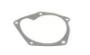 Водяний насос Kangoo/Clio/Logan/Megane/Scenic 1.5dCi 01- AUTOTECHTEILE 508 0100 (фото 6)