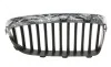 Решетка радиатора BMW 5 (F10) 13-16 (L) AUTOTECHTEILE 700 0308 (фото 2)
