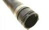 Патрубок радиатора BMW 5 (E39)/7 (E38) 3.5i/4.4i 96-03 M62 AUTOTECHTEILE 700 1121 (фото 4)