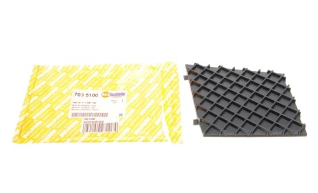 Решетка бампера BMW 5 (E60/E61) 02-10 (M-Technic) (L) AUTOTECHTEILE 703 5100