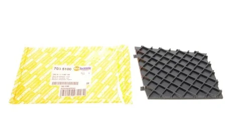 Решетка бампера BMW 5 (E60/E61) 02-10 (M-Technic) (L) AUTOTECHTEILE 703 5100
