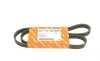 Ремінь генератора Renault Kangoo/Megane/Laguna 1.4/1.5 dCi/1.6 03-/Audi A6 4.2FSI 06-11 AUTOTECHTEILE 905 1135 (фото 1)