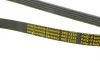 Ремінь генератора Renault Kangoo/Megane/Laguna 1.4/1.5 dCi/1.6 03-/Audi A6 4.2FSI 06-11 AUTOTECHTEILE 905 1135 (фото 4)