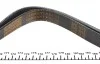 Ремінь генератора Fiat Ducato 2.2D/Ford Transit 2.2TDCI 06- (+AC) (6PK1670) AUTOTECHTEILE 906 1670 (фото 3)