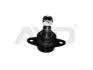Опора кульова переднього нижнього важеля BMW X3 E83 (03-11) AYD 92-03428 (фото 1)
