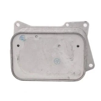 Масляний радіатор двигуна Bapmic BF0426490070