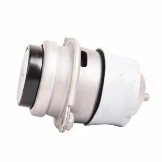 Кріплення двигуна (L) Bapmic BF0428140159
