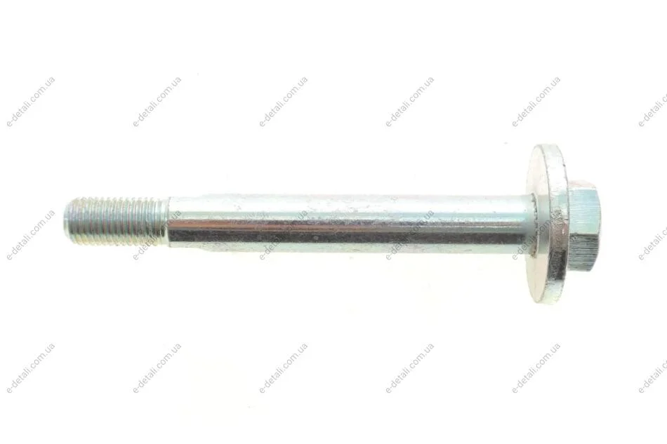 Болт з ексцентриком BELGUM PARTS BG2009 (фото 1)