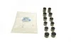 Комплект сайлентблоков задней подвески Ford Focus/Mazda 3/Volvo (S40) 99-10 (12шт) BELGUM PARTS BGKIT-1 (фото 1)