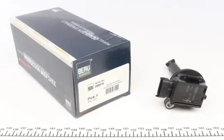 Катушка зажигания двигателя BERU ZSE019