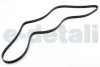 Ремень генератора T4 2.0i/Audi/Ford/Opel BGA 6PK1900 (фото 2)