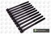 Комплект болтів з головкою системи TORX з чорного металу BGA BK3399 (фото 1)