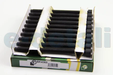 Комплект болтов с головкой системы TORX из черного металла BGA BK4365