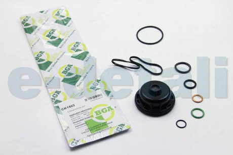 Комплект прокладок Master/Trafic/Laguna/Megane 2.0dCi 01- (нижній) BGA CK1503