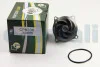 Водяний насос Connect/Focus/Mondeo 1.8/2.0i 96-13 BGA CP8230 (фото 3)