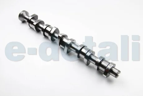 Распределительный вал T5 2.5TDI (AXD/AXE/BLK) 03- BGA CS9650