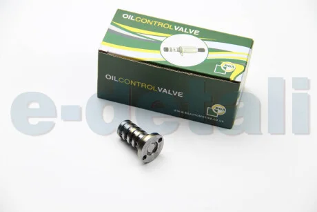 Клапан управління фазами ГРМ VW Gol /Jetta/Passat/Octavia/Leon 1.8/2.0i 04- BGA OCV0109