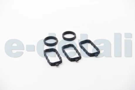 Прокладка клапанної кришки Master/Movano 2.3dCi 10- (к-кт) BGA RK9500