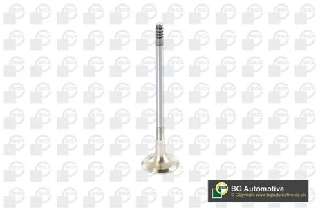 Клапан випуск BMW 1 (E81/E87)/3 (E90/E91/E92)/5 (E60/E61) 2.0 06-13 BGA V090101