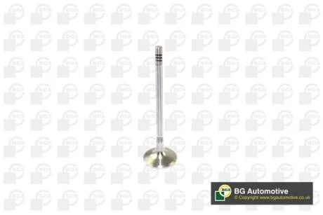 Клапан впуск. BMW 1/3/5/X3 07- дв. N47D20 BGA V166200