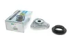 Подушка амортизатора (переднего) + подшипник MB E-class (W212) 09- BILSTEIN 12-305612 (фото 6)