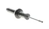 Амортизатор (передній) (L) BMW 5 (G31) 19- (B4) BILSTEIN 19-287409 (фото 1)