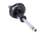 Амортизатор (передній) Ford Focus 98-04 (L) (B4) BILSTEIN 22-051226 (фото 7)