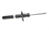 Амортизатор (передній) VW Caddy III/IV 04-/Golf V 04-08 d=55 (B4) BILSTEIN 22-131614 (фото 1)