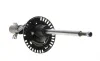 Амортизатор (передний) VW T5 03-15 (B4) BILSTEIN 22-140098 (фото 3)
