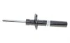 Амортизатор (передній) VW CC 09-17 Passat (3C2) 06-10 Passat (357/365) 12-19 d=55mm (B4) BILSTEIN 22-151056 (фото 1)