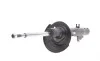 Амортизатор (передній) Peugeot 207/Citroen C3 1.4/1.6HDi/VTi 06- (L) (B4) BILSTEIN 22-184160 (фото 1)