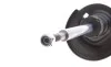 Амортизатор (передній) Peugeot 207/Citroen C3 1.4/1.6HDi/VTi 06- (L) (B4) BILSTEIN 22-184160 (фото 10)