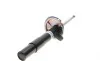 Амортизатор (передний) BMW 7 (E65/E66/E67) 01-09 (L) M54/M57/M67/N52/N62/N73 BILSTEIN 22-184283 (фото 1)