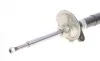 Амортизатор (передний) BMW 7 (E65/E66/E67) 01-09 (R) M54/M57/M67/N52/N62/N73 BILSTEIN 22-184306 (фото 5)