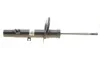 Амортизатор (передній) Citroen C3 II 1.1-1.6D 09- (L) BILSTEIN 22193421 (фото 1)