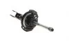 Амортизатор (передний) MB B-class (W245) 1.5-2.0D 05-11 BILSTEIN 22-215833 (фото 3)