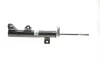 Амортизатор (передний) MB C-class (W203/CL203) 00-11 BILSTEIN 22-218537 (фото 4)
