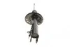 Амортизатор (передний) Nissan Qashqai 07- (R) BILSTEIN 22-226389 (фото 3)