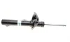 Амортизатор (передній) Ford Connect 02-13 (висока база) (R) (B4) BILSTEIN 22-227980 (фото 3)