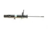 Амортизатор (передний) (L) Peugeot 2008 13- (B4) BILSTEIN 22-243102 (фото 11)
