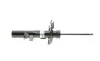 Амортизатор (передний) Ford Focus III 1.0-2.0 12- (R) (B4) BILSTEIN 22-255976 (фото 9)