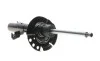 Амортизатор (передний) Ford Focus 10- (L) (B4) BILSTEIN 22-256362 (фото 1)