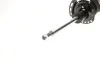 Амортизатор (передній) Ford Mondeo V 1.0-2.0D 14- (L) (B4) BILSTEIN 22-263773 (фото 2)